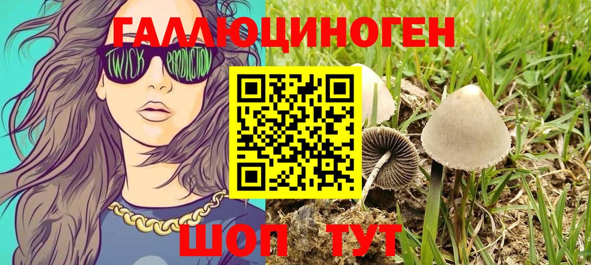 Псилоцибиновые грибы ЛСД Белово
